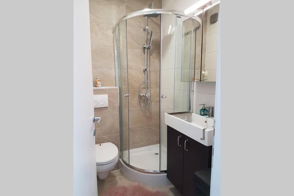 Living Home, Apartament Cu Doua Dormitoare Si Doua Bai Cisnădie Esterno foto